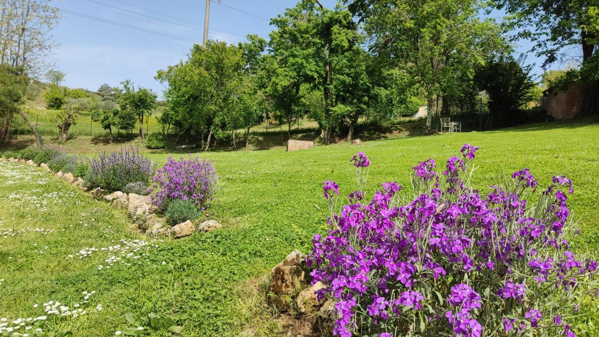 Agriturismo Le Grondaie 锡耶纳 外观 照片